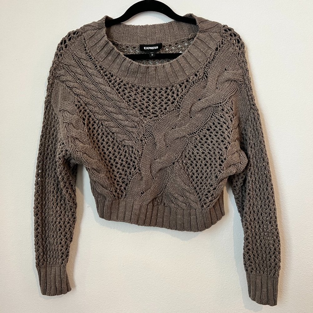 Express Brown/Gray Cropped Sweater